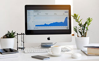 蔷薇属（蔷薇属有哪些植物）